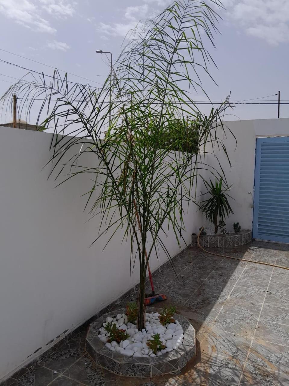 Studio Rouge Cosy A Dar Lili Djerba Mezraia Esterno foto